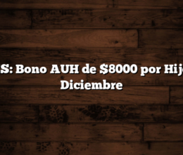 ANSES: Bono AUH de $8000 por Hijo para Diciembre