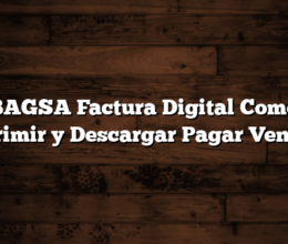BAGSA Factura Digital Como Imprimir y Descargar  Pagar Vencida
