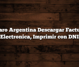 Claro Argentina Descargar Factura Electronica, Imprimir con DNI