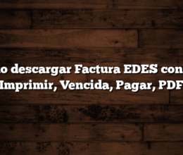 Como descargar Factura EDES con NIS  Imprimir, Vencida, Pagar, PDF