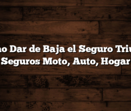 Cómo Dar de Baja el Seguro Triunfo Seguros  Moto, Auto, Hogar