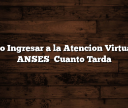 Cómo Ingresar a la Atencion Virtual de ANSES   Cuanto Tarda