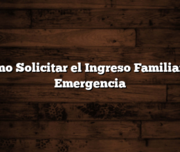 Cómo Solicitar el Ingreso Familiar de Emergencia