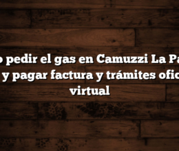 Cómo pedir el gas en Camuzzi La Pampa  Ver y pagar factura y trámites oficina virtual