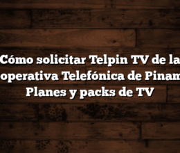 Cómo solicitar Telpin TV de la Cooperativa Telefónica de Pinamar  Planes y packs de TV