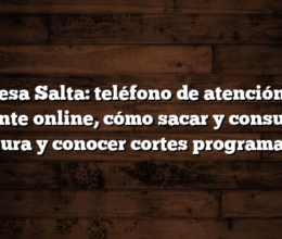 Edesa Salta: teléfono de atención al cliente online,  cómo sacar y consultar factura y conocer cortes programados