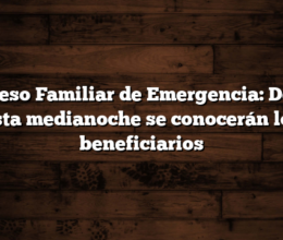 Ingreso Familiar de Emergencia: Desde esta medianoche se conocerán los beneficiarios