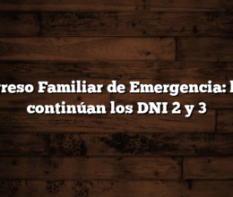 Ingreso Familiar de Emergencia: hoy continúan los DNI 2 y 3
