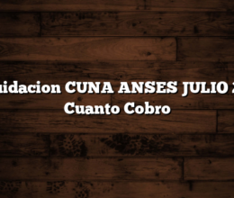 Liquidacion CUNA ANSES JULIO 2021  Cuanto Cobro