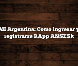 MI Argentina: Como ingresar y registrarse [App ANSES]