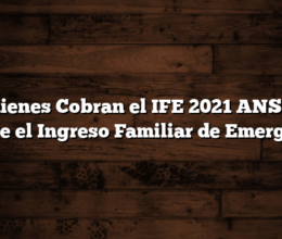 Quienes Cobran el IFE 2021  ANSES  Vuelve el Ingreso Familiar de Emergencia
