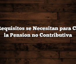 Qué Requisitos se Necesitan para Cobrar la Pension no Contributiva