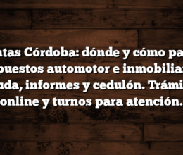 Rentas Córdoba: dónde y cómo pagar impuestos automotor e inmobiliario, deuda, informes y cedulón. Trámites online y turnos para atención.