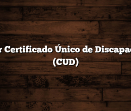 Sacar Certificado Único de Discapacidad (CUD)