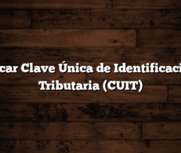 Sacar Clave Única de Identificación Tributaria (CUIT)